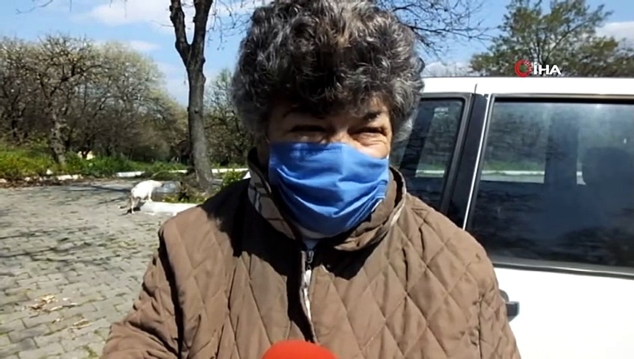 Korna sesini duyan kediler meydana koşuyor... Balıkesir’de emekli hemşire 17 yıldır sokak kedilerini besliyor