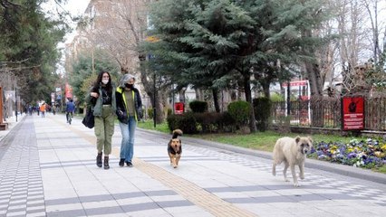 Son dakika haber! KIRKLARELİ'DE İKİYE KATLANAN VAKALARIN YÜZDE 90'I ÇALIŞAN KESİM