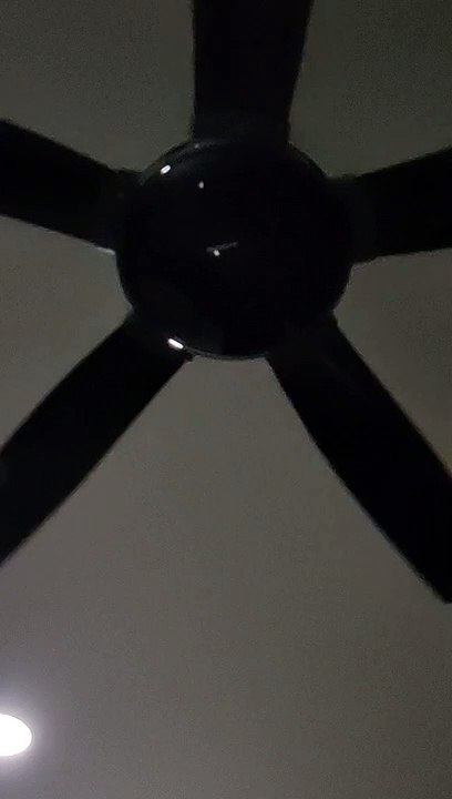 fan