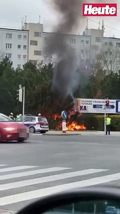 Zehn Meter langer Heckenbrand in Wien-Liesing