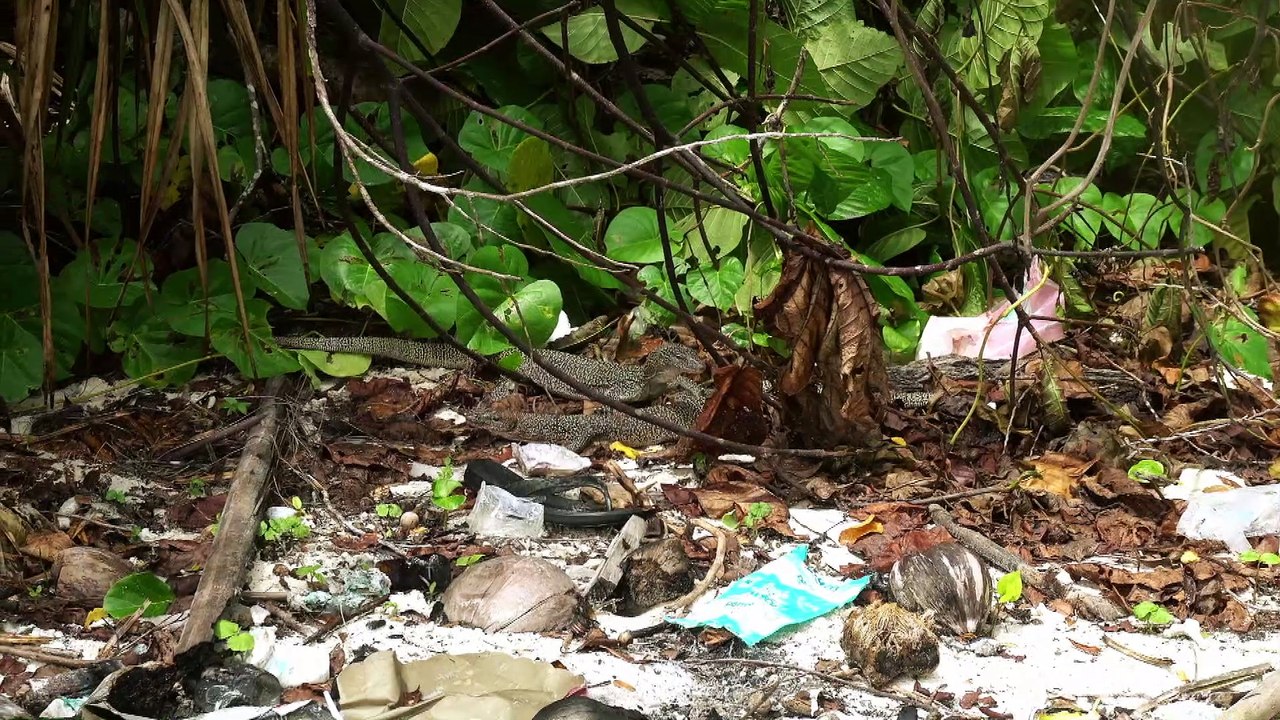 Lass mich treiben mit dem Wind