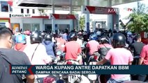 Penampakan Pohon Tumbang dan Kapal Rusak Usai Diterjang Badai Seroja