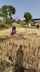 गाड़ी पलटने से दो युवक हुए घायल, 108 एंबुलेंस ने पहुंचाया अस्पताल