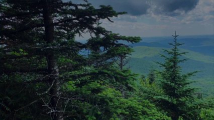 This Renovated Barn Has Amazing Views of New York's Catskills