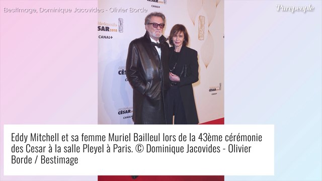 Eddy Mitchell : Qui est sa discrète femme Muriel Bailleul, qu'il aime depuis 40 ans ?