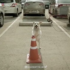 whatsapp status video humanity tiktok video whatsapp status tamil football messi sad