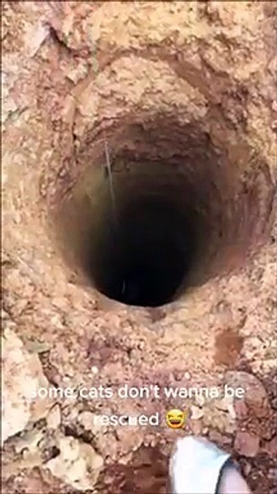 Il sauve un chat tombé dans un trou, mais il ne veut pas être sauvé