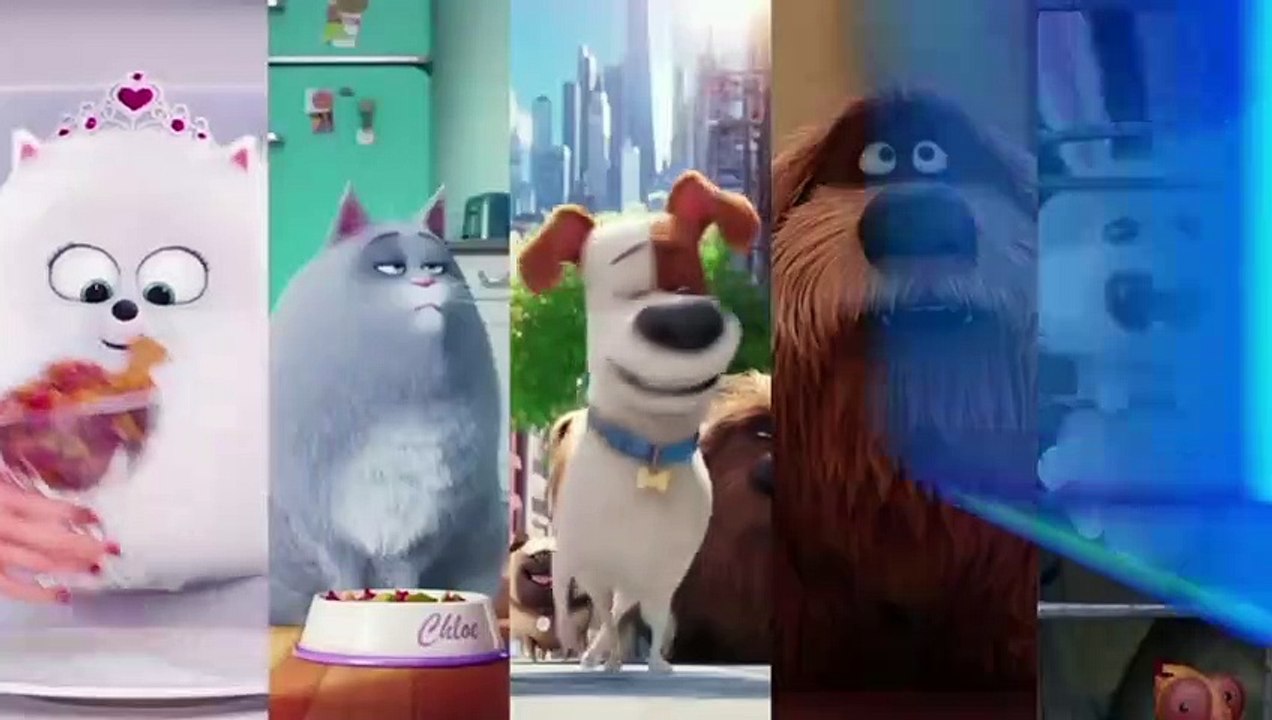 La Vida Secreta De Tus Mascotas Estreno Próximamente Por Mega Cine 5 Canal 5 México 2021