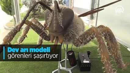 Dev arı modeli görenleri şaşırtıyor