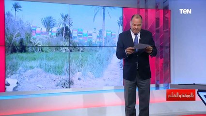 "يوم استثنائي في تاريخ قناة السويس والشعب المصري" اعرف شهادة من الشركة العالمية"إيفرجرين" للهيئة