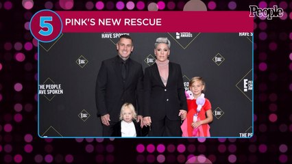 Pink Rescues Puppy Named Habañero Mountain Guy Kadashi Hart: 'Our Newest Family Member'