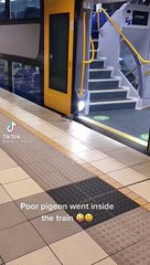 i am waiting for train