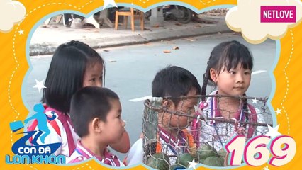 Con Đã Lớn Khôn - Tập 169: Hành trình Bé Mèo Con