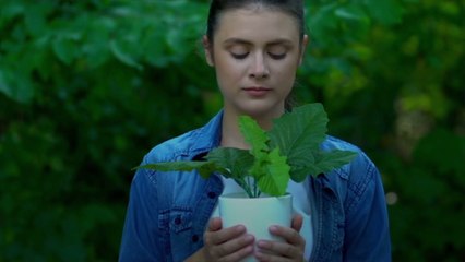 1-800-Flowers' Plant Dad Shares His Top Tip for Becoming a Veritable Plant Whisperer