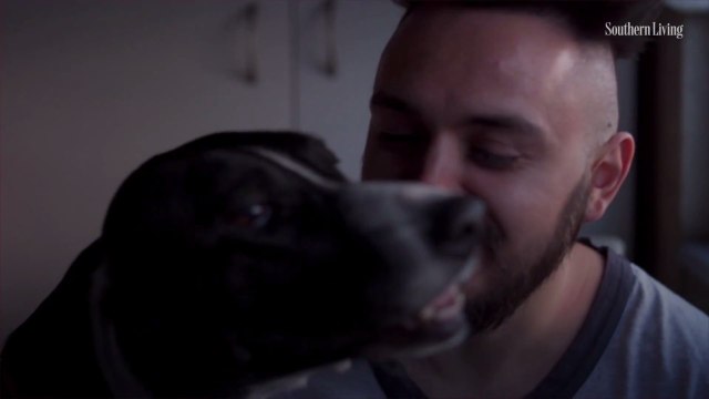 There's an Instinctual Reason Your Dog Howls When You Sing Christmas Carols