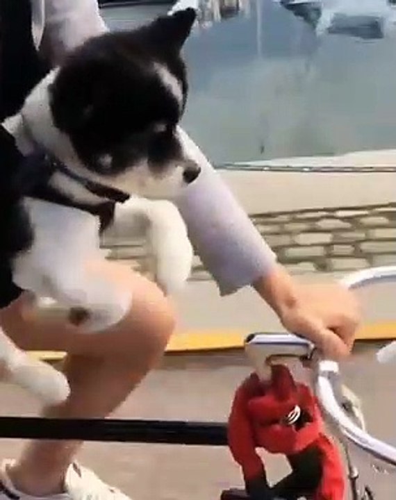 Joy Ride