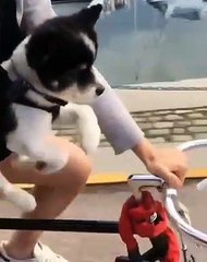 Joy Ride