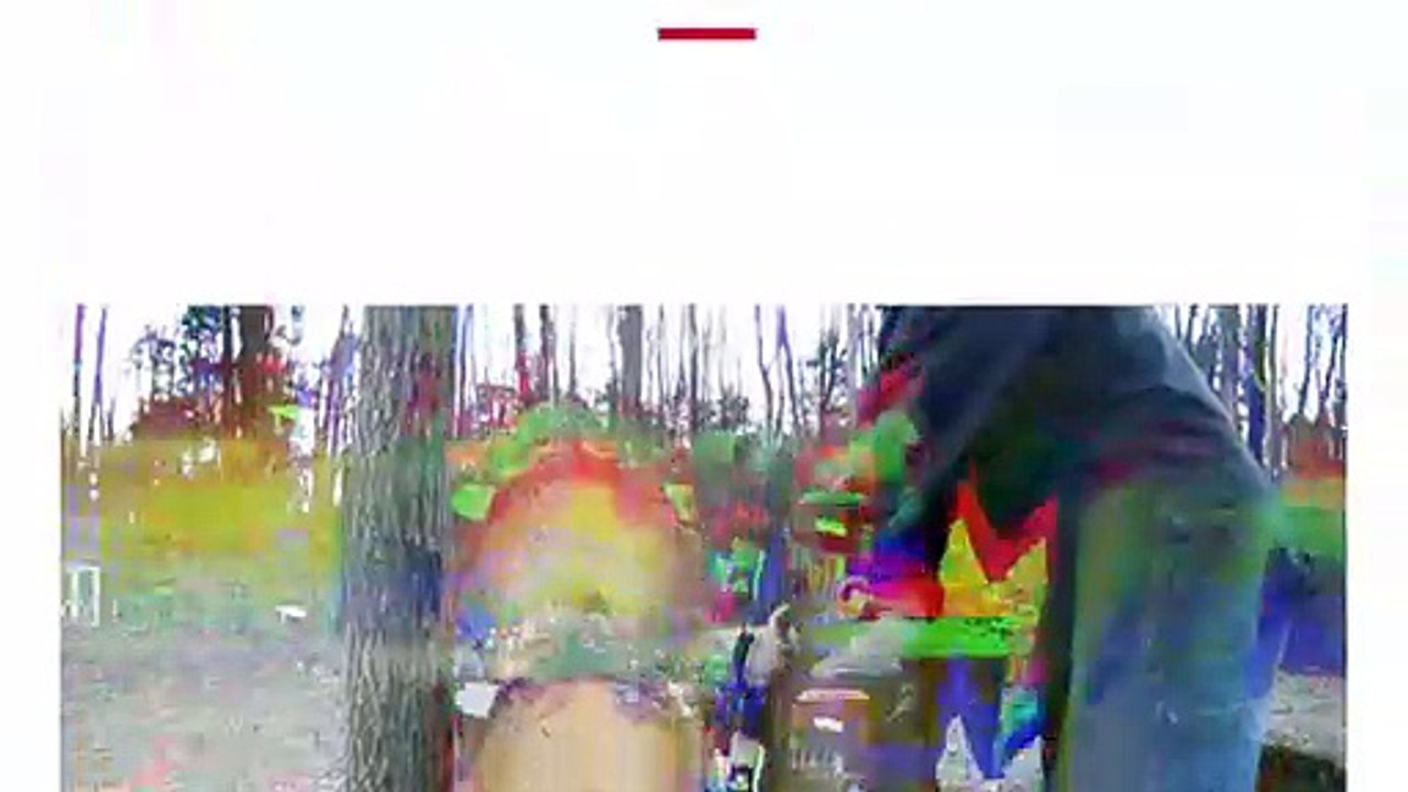 Mesele ağaç değilmiş!
