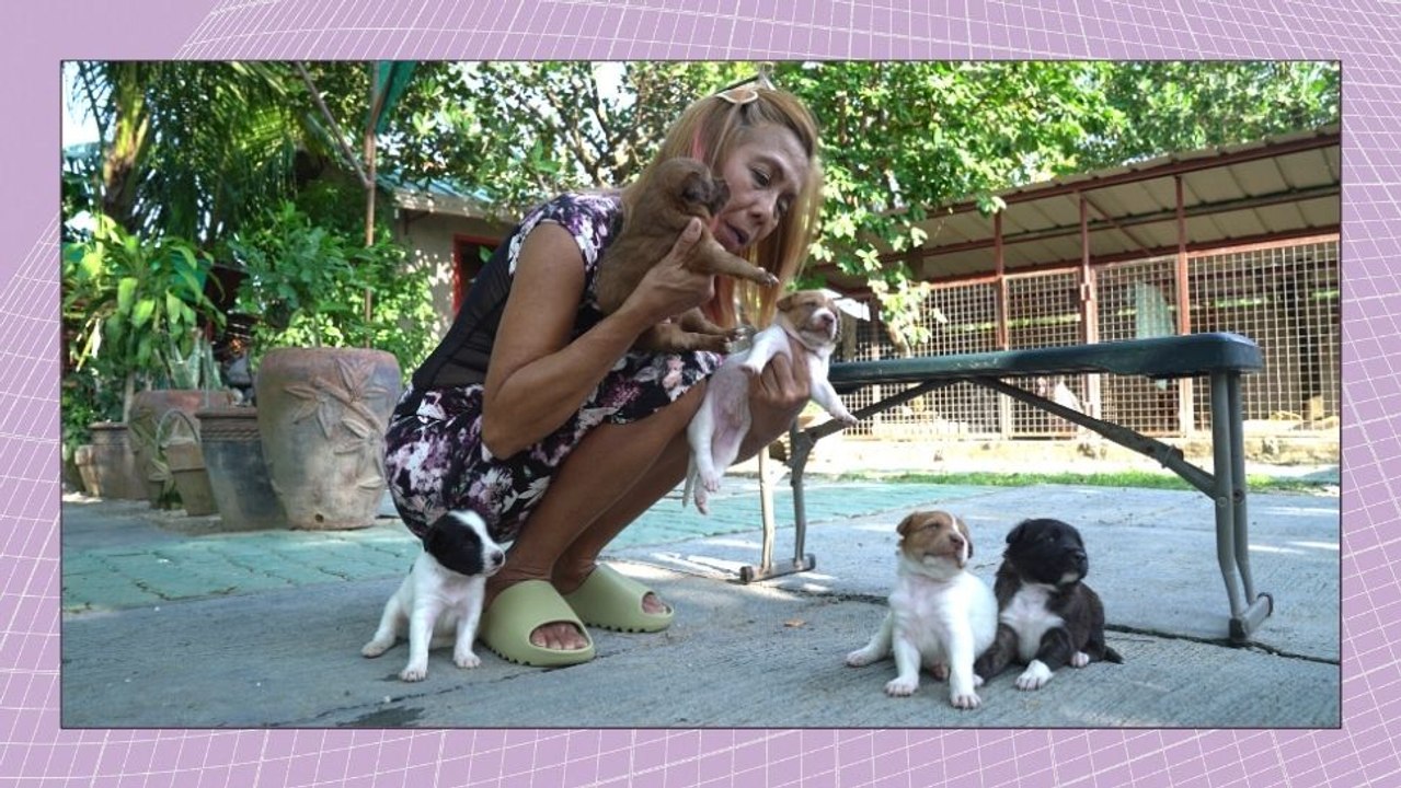 How This Woman Ended Up Adopting Over 40 Stray Dogs and 10 Cats