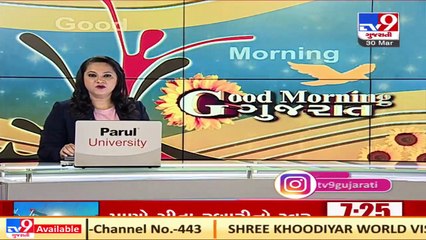 Forest fire breaks out in Narukot, Panchmahal _ TV9News