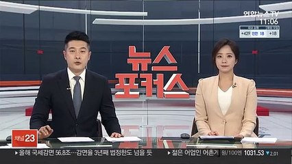 김여정, 문대통령 미사일 발언에 "미국산 앵무새"