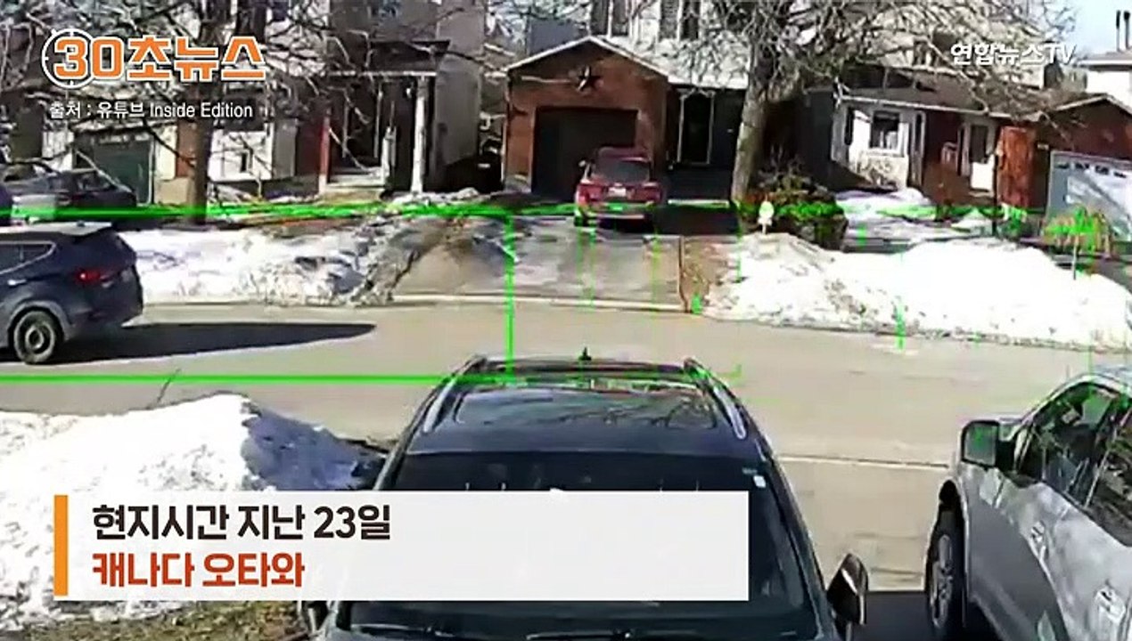[30초뉴스] 졸도한 주인 살린 반려견 '감동'…길 막고 지나던 차 세워