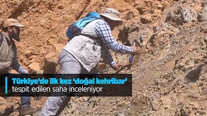 Türkiye'de ilk kez doğal kehribar tespit edilen saha inceleniyor