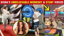 Disha Patani Lifts Super Heavy Weights, Performs Stunts | All Workout Videos