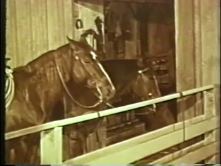 My Friend Flicka  S1E14    The Little Visitor