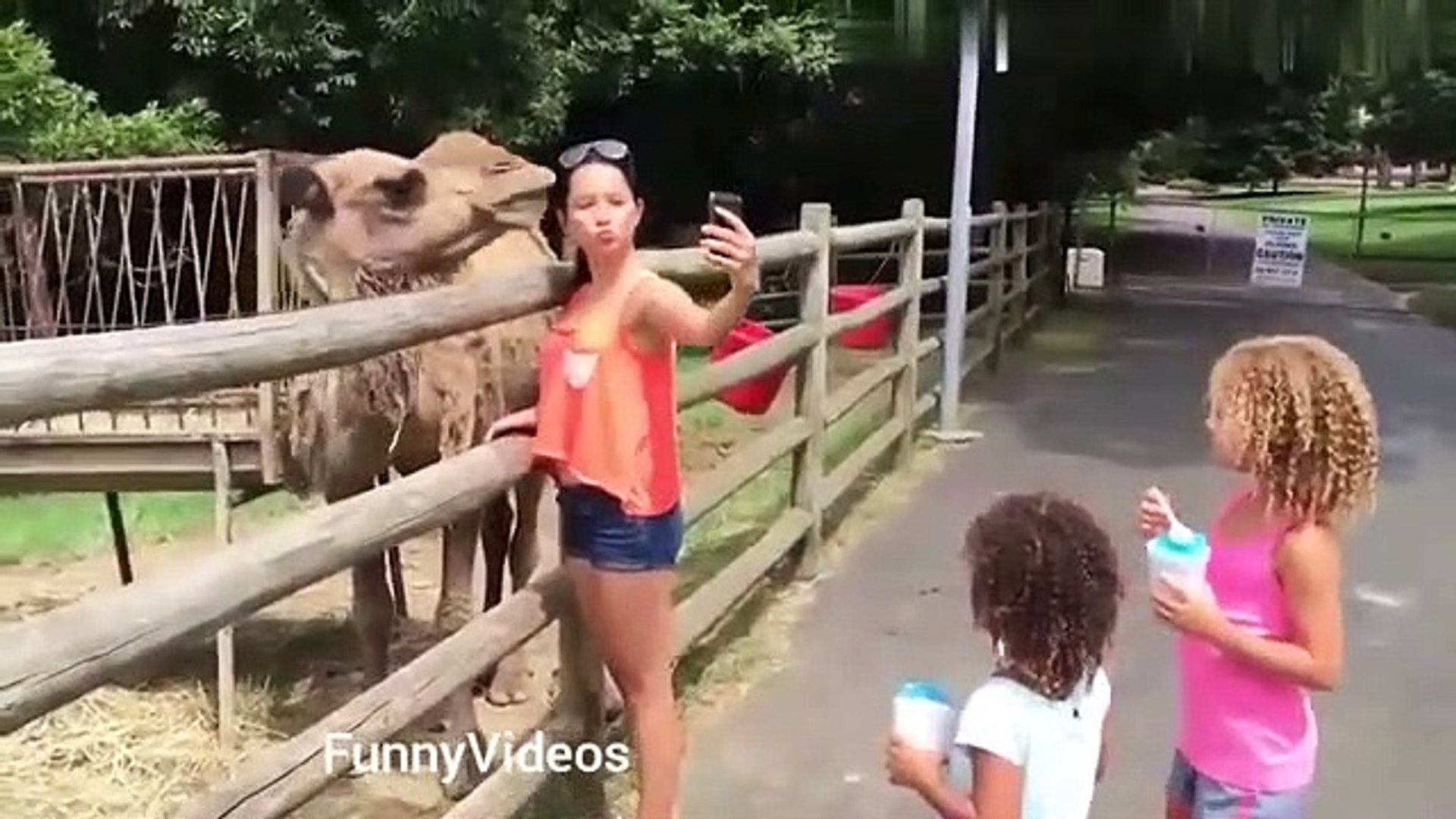 Funny Animals Videos | Funny Girl Video 2020 | Funny girl Fails | funny zoo  Animals - video Dailymotion