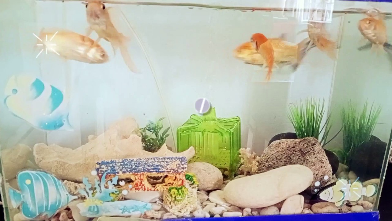 #isda