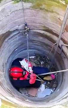 10 metrelik kuyuya düşen kediyi itfaiye kurtardı