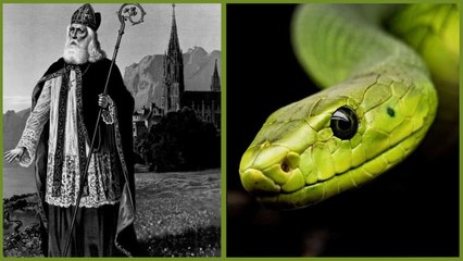 दुनिया का अनोखा देश जहां नहीं हैं एक भी सांप, दिलचस्प है इसके पीछे की कहानी