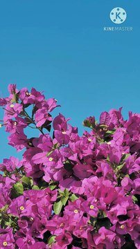 allah ka mahboob banne ke liye amal aurato ke liye