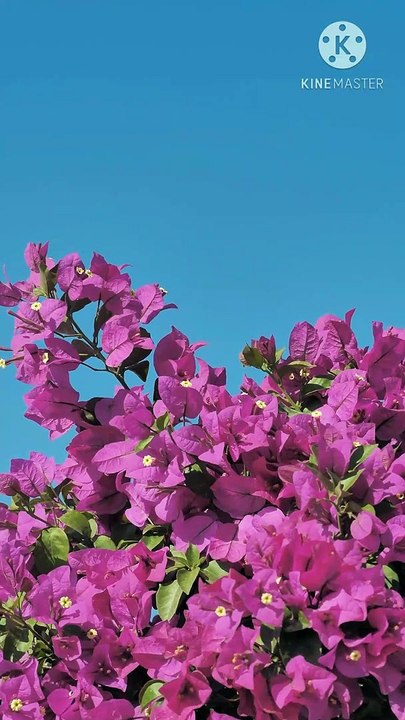 allah ka mahboob banne ke liye amal aurato ke liye