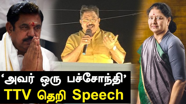 'Sasikala ஜெயிலுக்கு போனாரே..! அப்போ முதல்வர் அழுதாரா?' -TTV Dinakaran கேள்வி | Oneindia Tamil