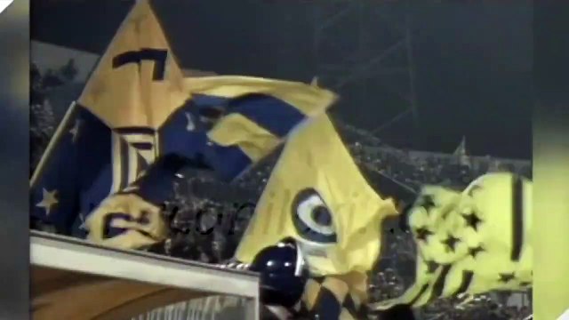 Fenerbahçe 1-0 Gaziantepspor 17.02.1996 - 1995-1996 Turkish 1st League Matchday 21