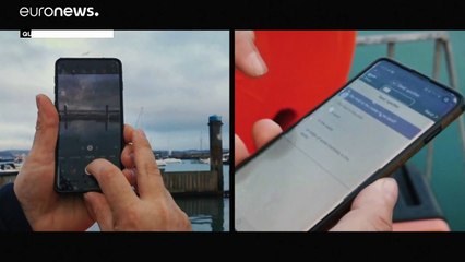 Kegelrobben: Dem Wasserraubtier auf der Spur