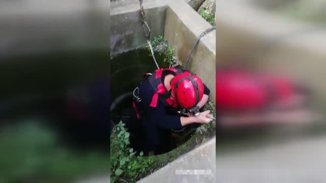 Son dakika gündem: Kuyuya düşen kediyi itfaiye ekibi kurtardı