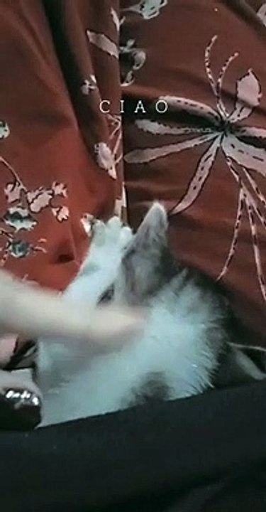 kawaii
