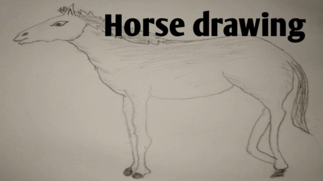 How to draw horse
