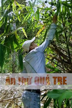 Ăn thử quả cây tre
