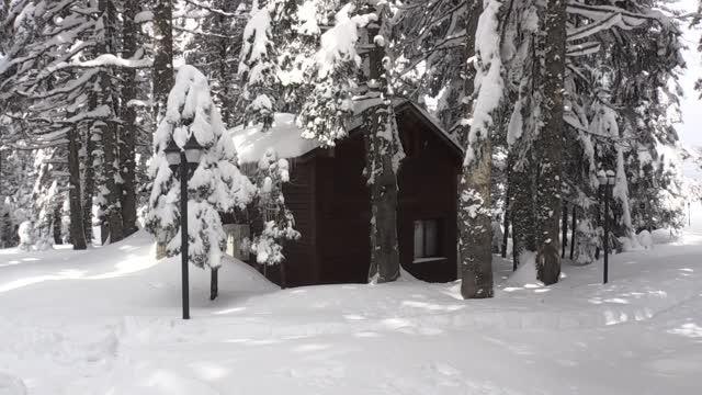 Kayak sezonunun uzadığı Uludağ'da Kovid-19'un izole adresi orman köşkleri yoğun ilgi görüyor