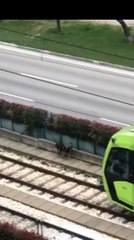 Raylara giren davetsiz misafir binlerce insanın yolculuğunu aksattı