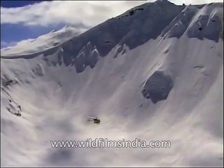 Himalayan helicopter ride - come along!