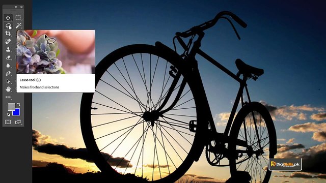 94 Graphic Design Software Adobe Photoshop Lasso Tool