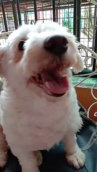 ANG INIT SOBRA 