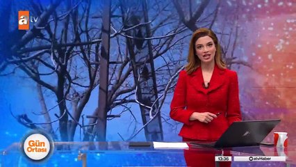 Bu üst geçit tavuklar için