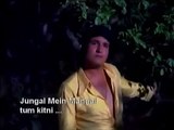 TUM KITNI ... — JUNGAL MEIN MANGAL | Disc B | Century Dhamaka Vol. II