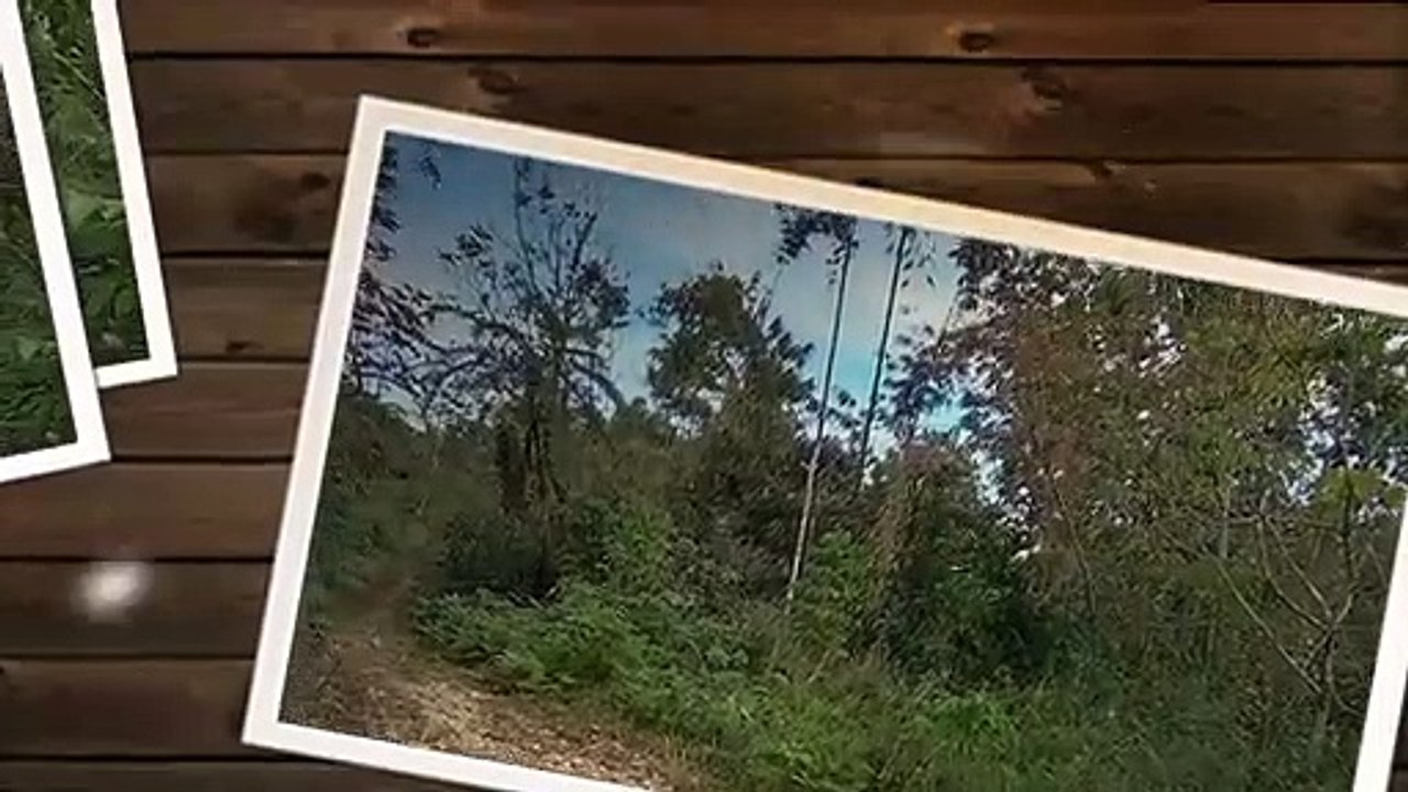 walking in the air